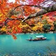 28圈品牌服务